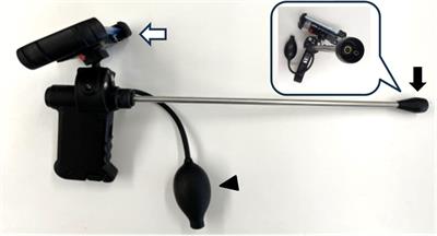 Designing a diagnostic method to predict the optimal artificial insemination timing in cows using artificial intelligence